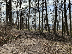 IMG_0863