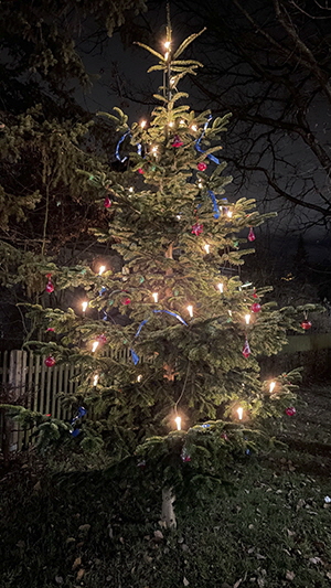 Weihnachtsbaum 2020-s
